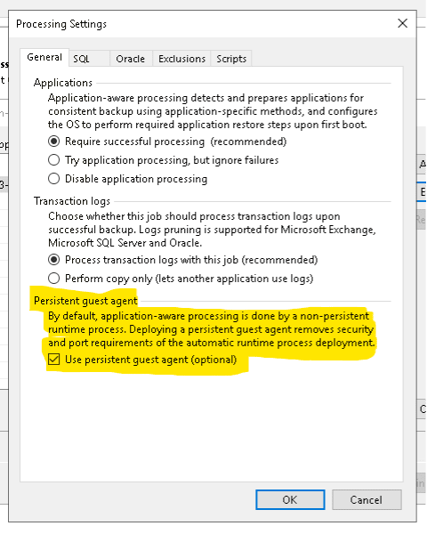 Persistent guest agent